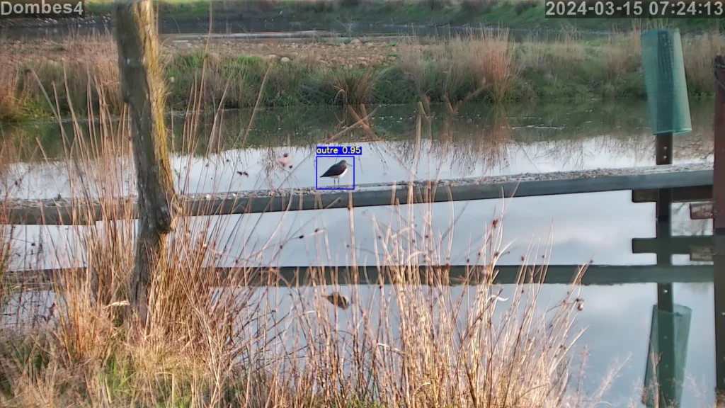 Pest Watch Tower by Anemos by Technologies pour Adapra - détection de corbeaux